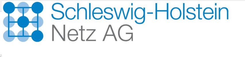 Ein Raster aus blauen und blassblauen Punkten, daneben der Schriftzuh "Schleswig-Holstein Netz AG"